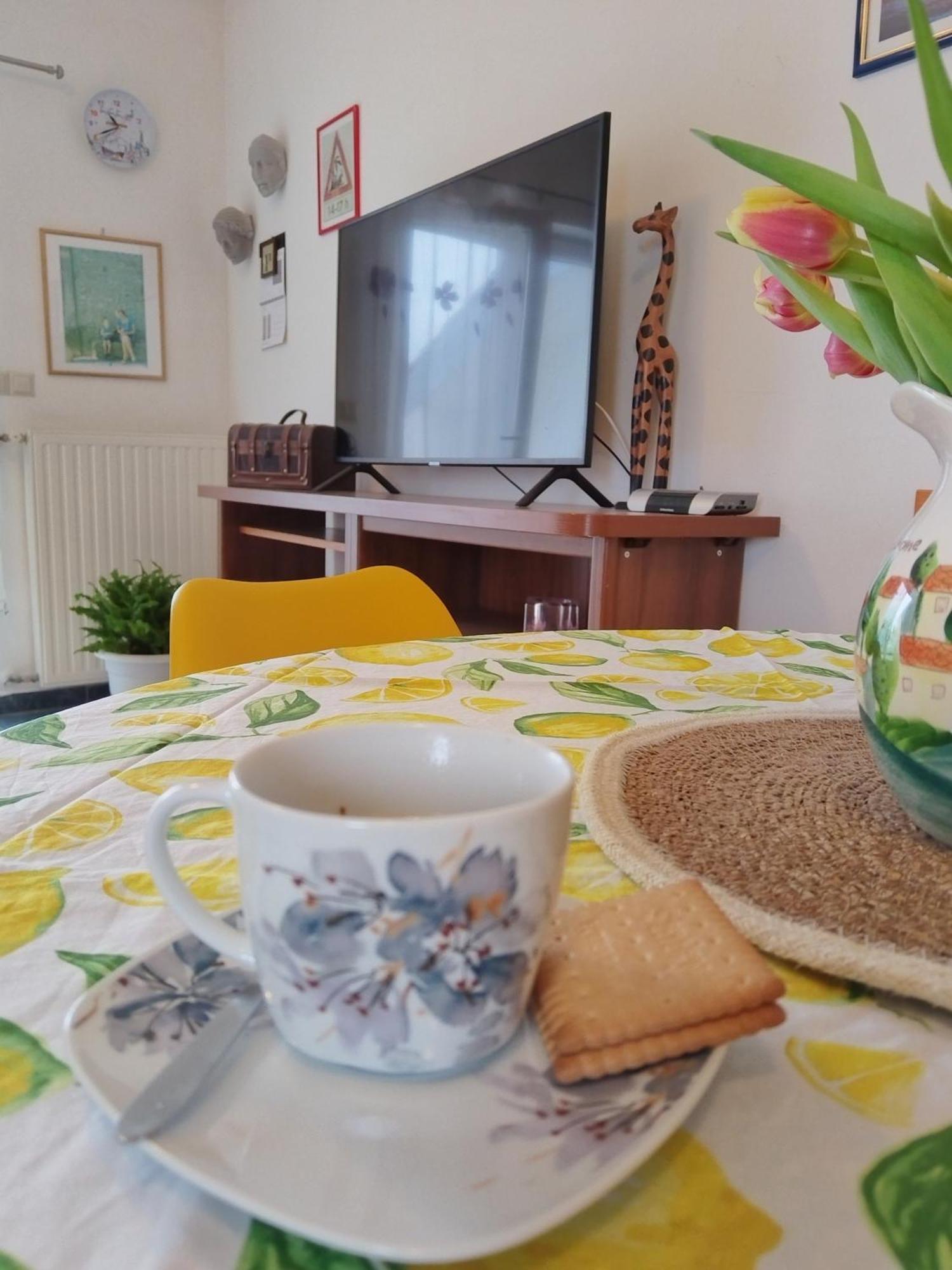 Apartment Ljudmila 沃迪切 外观 照片