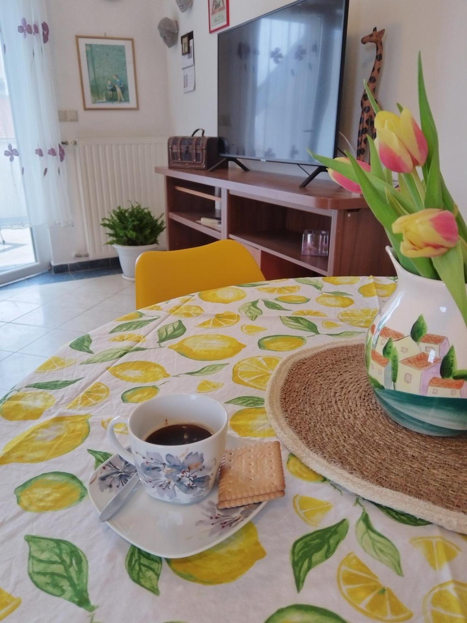 Apartment Ljudmila 沃迪切 外观 照片