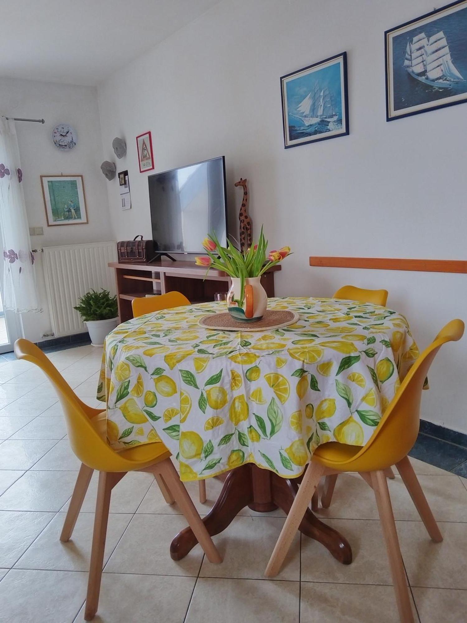 Apartment Ljudmila 沃迪切 外观 照片